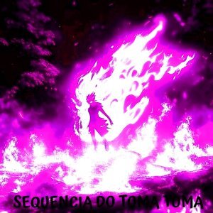 Обложка: phonk killazz - Sequencia Do Toma Toma