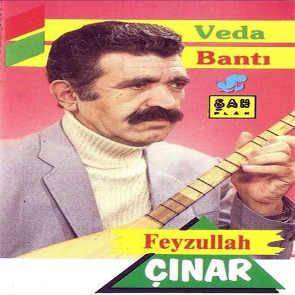 Обложка: Feyzullah Çınar - Allah Bizi Eşit Yaratmış