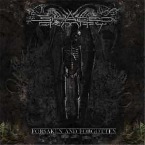 Обложка: Shaded Enmity - This Is Federal