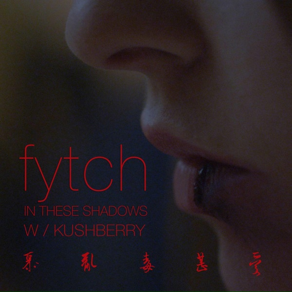 Обложка: Fytch, Kush Berry - In These Shadows