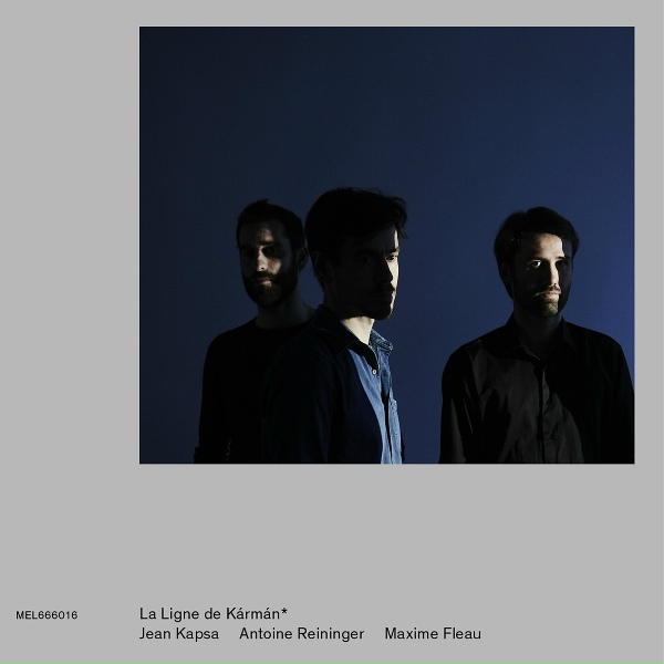 Обложка: Jean Kapsa, Antoine Reininger, Maxime Fleau - Le taxidermiste
