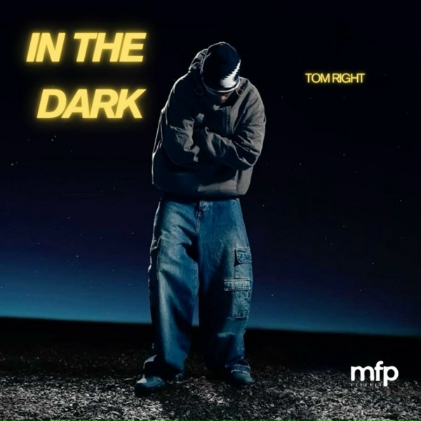 Обложка: Tom Right - In The Dark