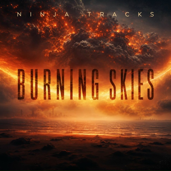 Обложка: NINJA TRACKS - Dark Horizon