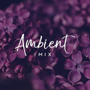 Обложка: Chillout Café - Chillout