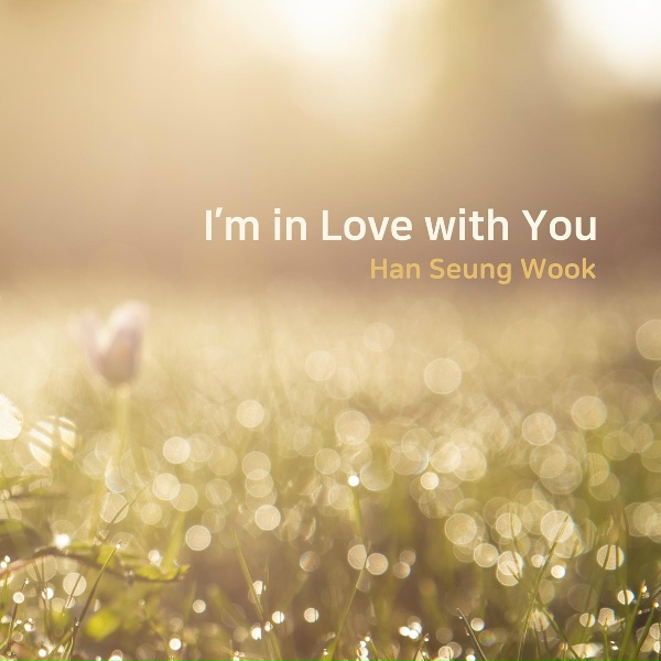 Обложка: Han Seung Wook - Happiness