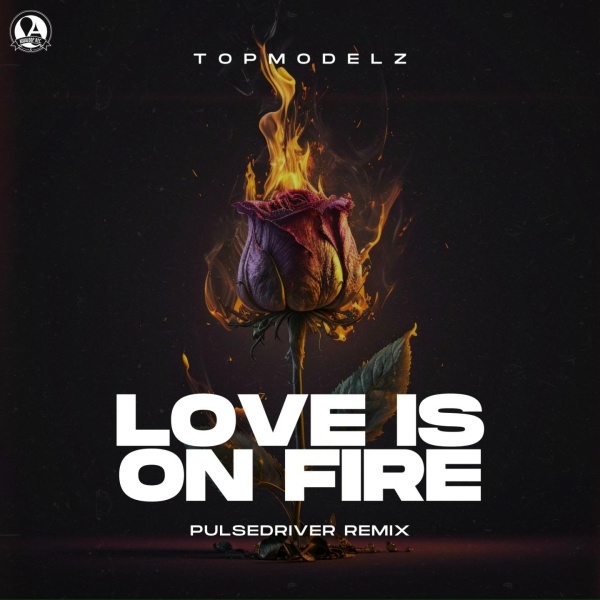 Обложка: Pulsedriver, Topmodelz - Love Is On Fire