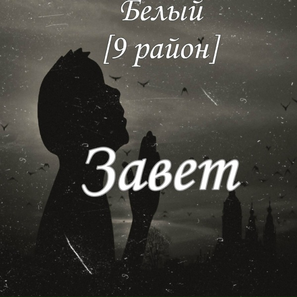 Обложка: Белый [9 район] - Завет