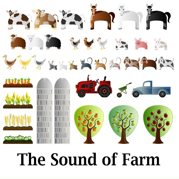 Обложка: Sound Effects Factory - Turkeys
