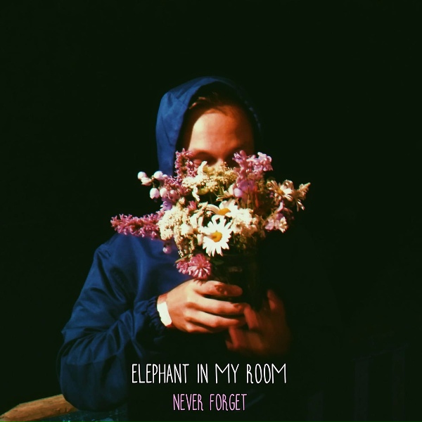 Обложка: Elephant In My Room - You Used to Do (All Those Things)