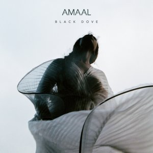 Обложка: Amaal - Later