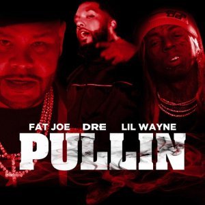 Обложка: Fat Joe, Dre, Lil Wayne - Pullin