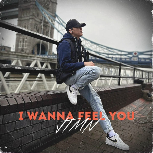 Обложка: VTMN - I Wanna Feel You