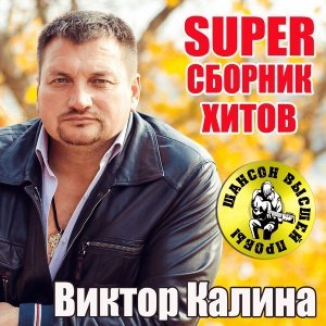 Обложка: Виктор Калина - Русские идут