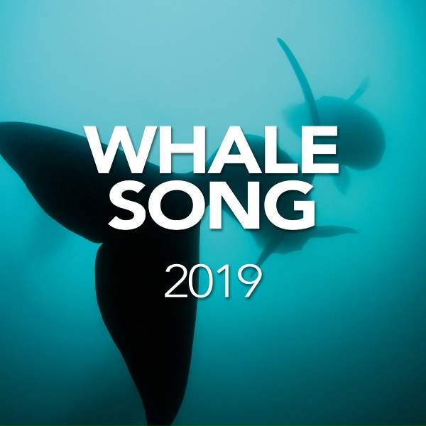 Обложка: Whale Song - Whale Song In Norway