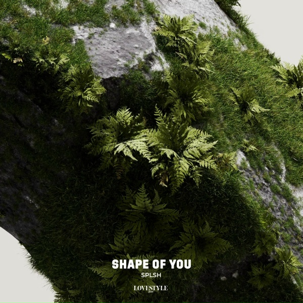 Обложка: SPLSH - Shape of You