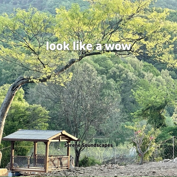 Обложка: Serene Soundscapes - window kid