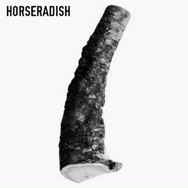 Обложка: Horseradish - No Future
