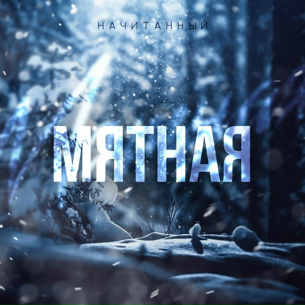 Обложка: Начитанный - Мятная