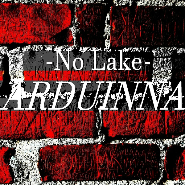 Обложка: No Lake - Infinity