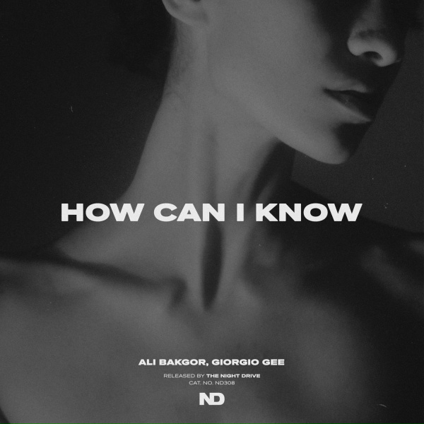 Обложка: Ali Bakgor, Giorgio Gee - How Can I Know
