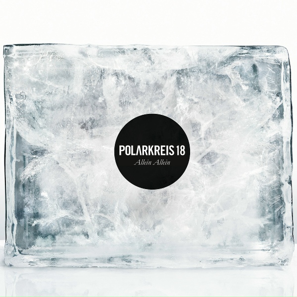 Обложка: Polarkreis 18 - Allein Allein