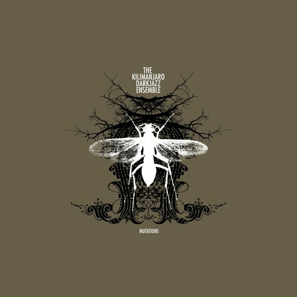 Обложка: The Kilimanjaro Darkjazz Ensemble - Symmetry of 6S