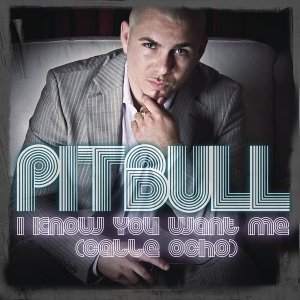 Обложка: Pitbull - I Know You Want Me (Calle Ocho)