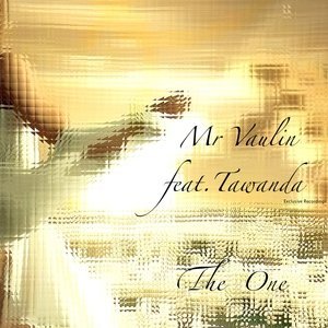 Обложка: Mr Vaulin feat. Tawanda feat. Tawanda - The One