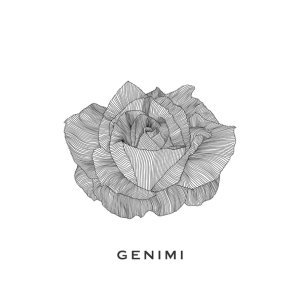 Обложка: GENIMI - Унесёт ночь