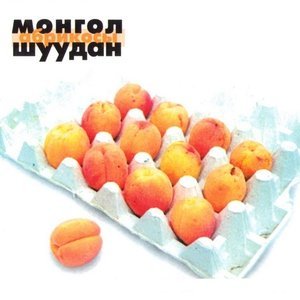 Обложка: Монгол Шуудан - Песня про пиво