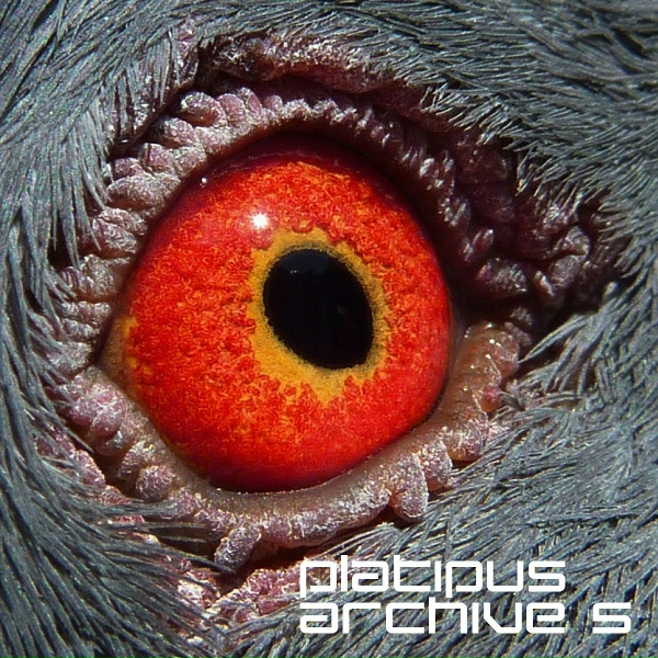 Обложка: Steve Gibbs - Electronicat