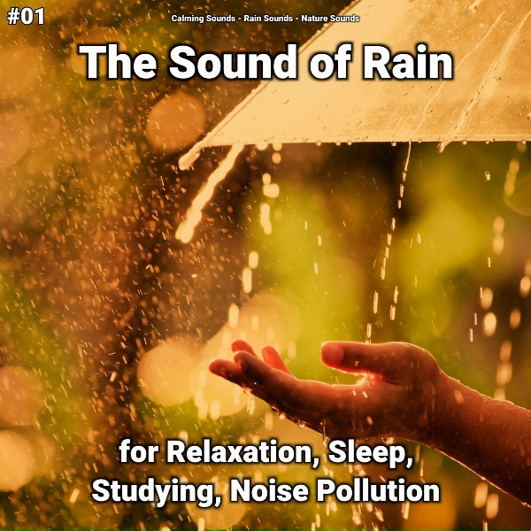 Обложка: Calming Sounds, Rain Sounds, Nature Sounds - Relaxing Noises
