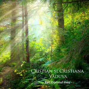 Обложка: Cristian și Cristiana Văduva - Taina