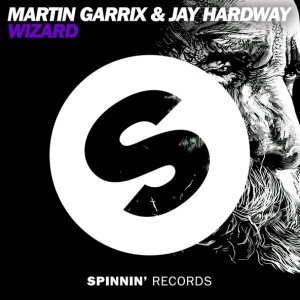 Обложка: Martin Garrix, Jay Hardway - Wizard