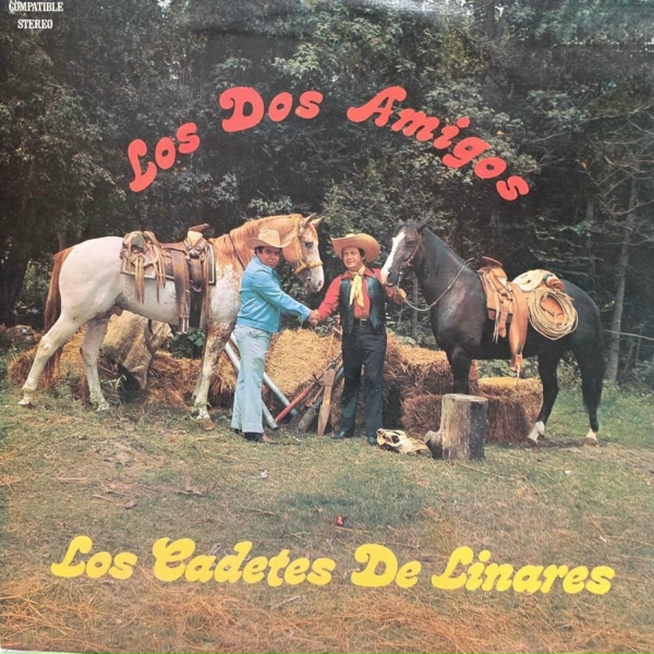 Обложка: Los Cadetes De Linares - Añorando Tus Besos