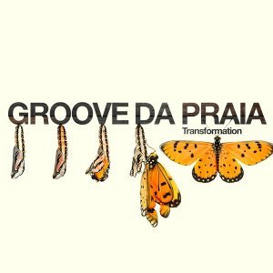 Обложка: Groove Da Praia - Hung Up