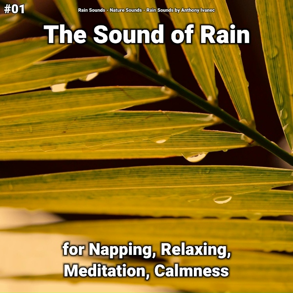 Обложка: Rain Sounds, Nature Sounds, Rain Sounds by Anthony Ivanec - Nature Sounds