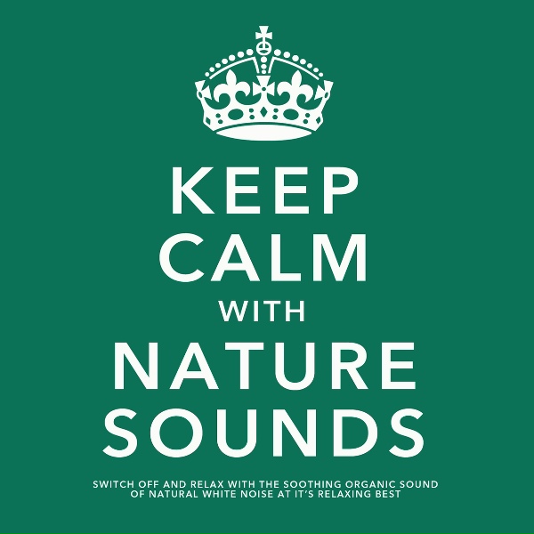 Обложка: White Noise Research - A Secluded Stream in a Nature Reserve