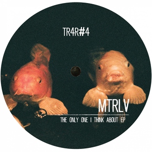 Обложка: MTRLV - Lost in Memories