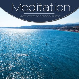 Обложка: Meditation String - A Journey of the Heart