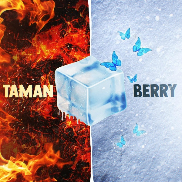Обложка: TAMAN, BERRY - Мальвина
