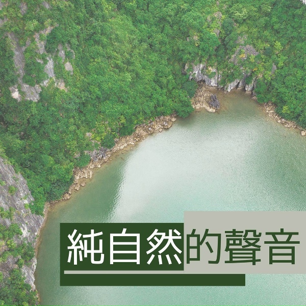 Обложка: 舒暖純音樂 - 深呼吸