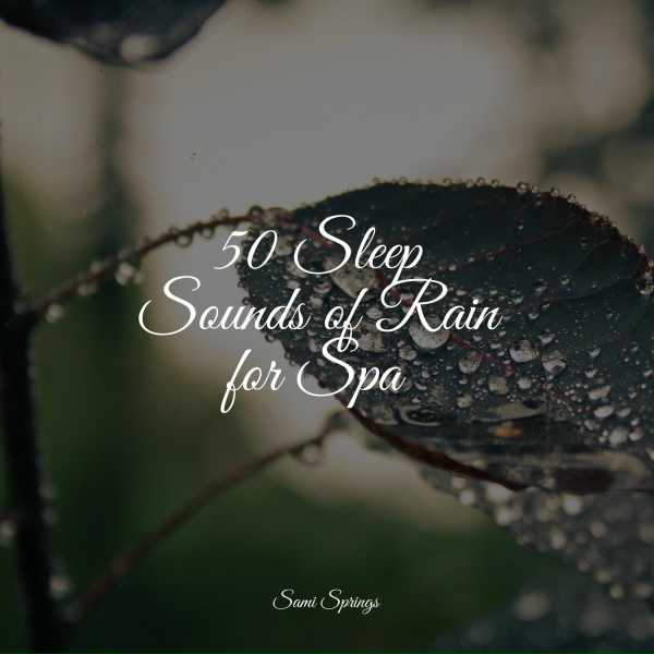 Обложка: Egyptian Meditation Temple, Deep Sleep Brown Noise, Zarobi - Droplets Fall