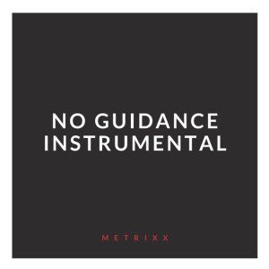 Обложка: Metrixx - No Guidance