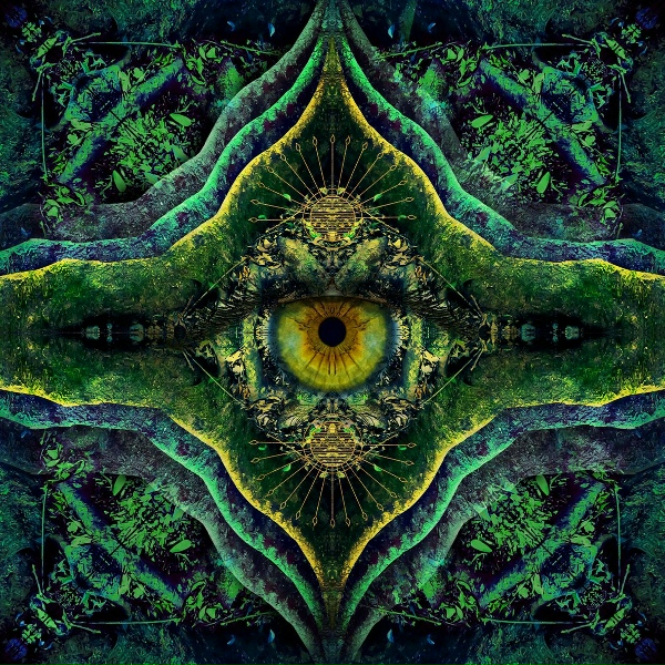 Обложка: Poranguí, Liquid Bloom, Savej - Feathered Serpent