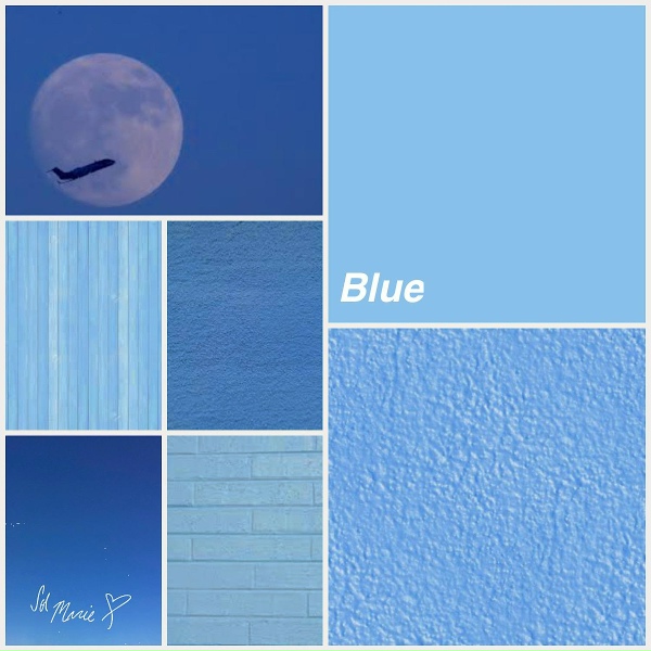 Обложка: Sol Marie - Sharks