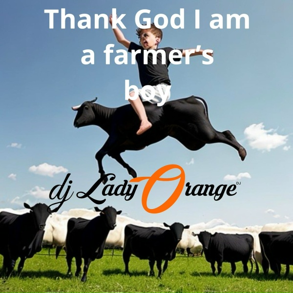 Фото: Dj Lady Orange