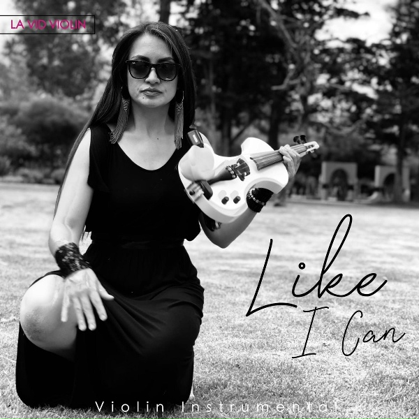 Фото: La Vid Violin