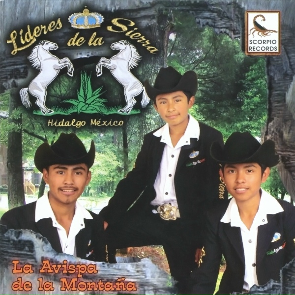 Обложка: Lideres De La Sierra - La Borrachera