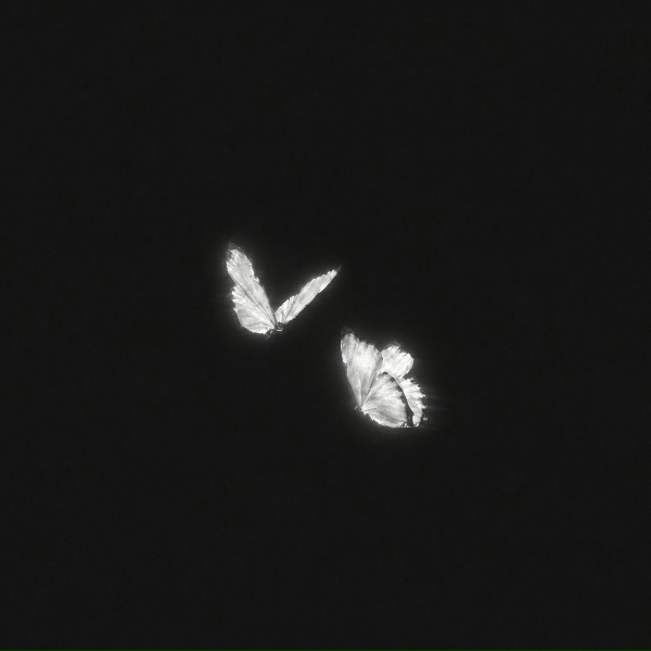 Обложка: Crunkz - Another Day